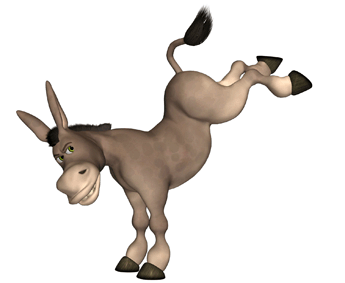 donkey