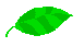 leaf2 illust