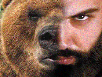 grizzly.human.gif